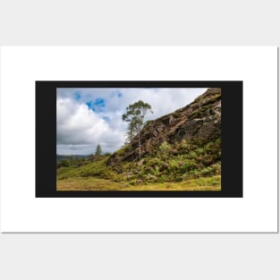 Walking over Holme Fell Posters and Art